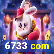 6733 com